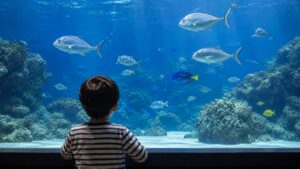 水族館で魚に興味を持つ男の子の後ろ姿